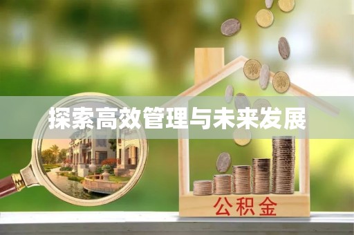 成华探索高效管理与未来发展