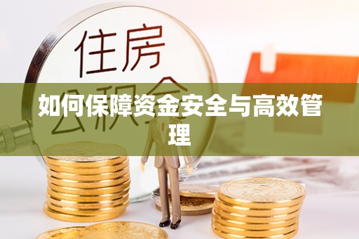 成华如何保障资金安全与高效管理