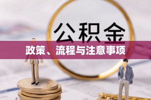 成华政策、流程与注意事项