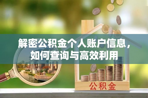 成华解密公积金个人账户信息，如何查询与高效利用