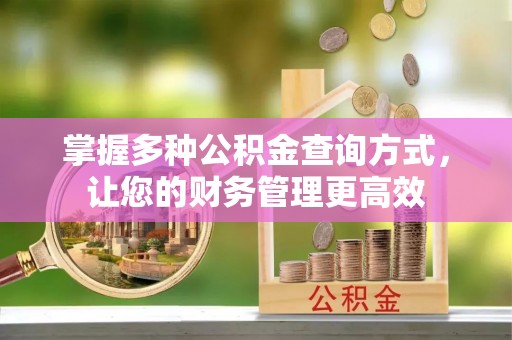 成华掌握多种公积金查询方式，让您的财务管理更高效