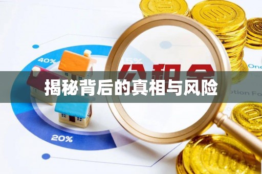 成华揭秘背后的真相与风险