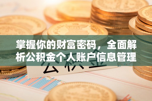 成华掌握你的财富密码，全面解析公积金个人账户信息管理与优化