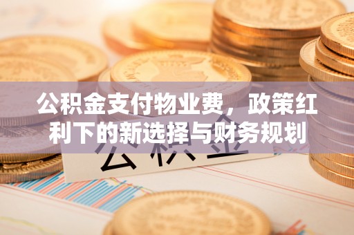 成华公积金支付物业费，政策红利下的新选择与财务规划