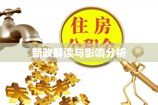 成华新政解读与影响分析