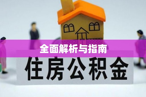 成华全面解析与指南