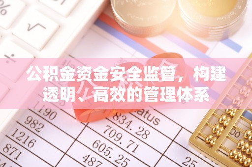 成华公积金资金安全监管，构建透明、高效的管理体系