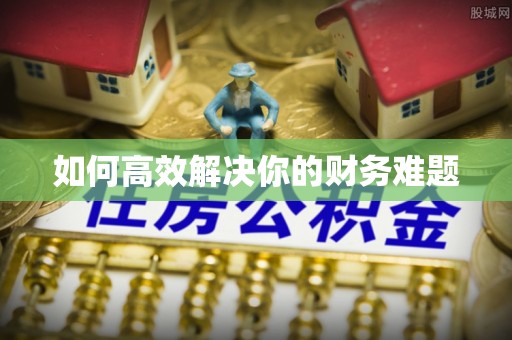 成华如何高效解决你的财务难题