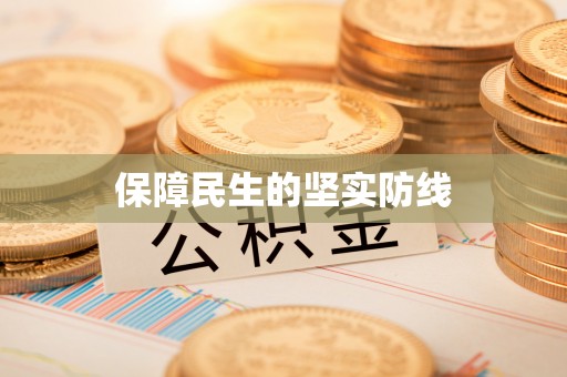 成华保障民生的坚实防线