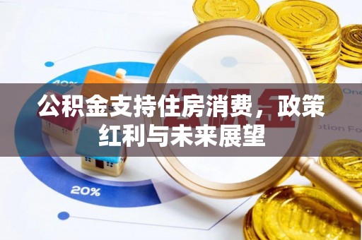 成华公积金支持住房消费，政策红利与未来展望