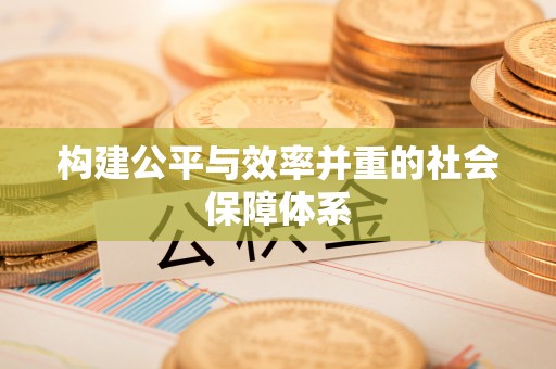 成华构建公平与效率并重的社会保障体系