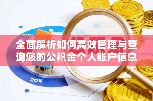 成华全面解析如何高效管理与查询您的公积金个人账户信息