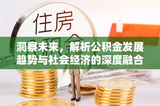 成华洞察未来，解析公积金发展趋势与社会经济的深度融合