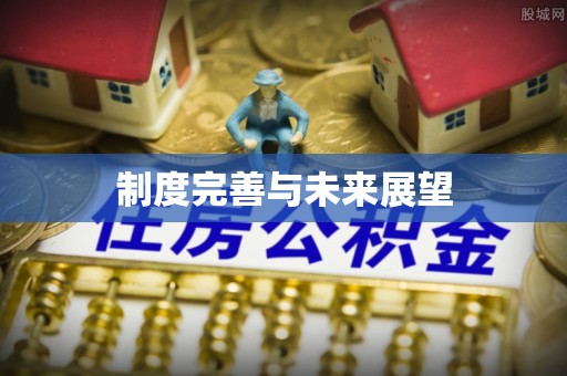 成华制度完善与未来展望