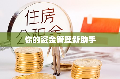 成华你的资金管理新助手