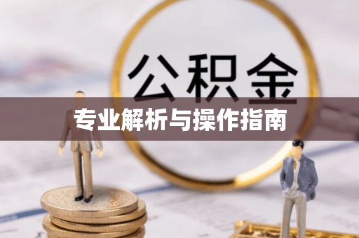 成华专业解析与操作指南