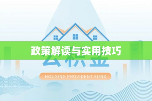 成华政策解读与实用技巧
