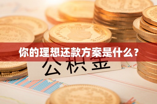成华你的理想还款方案是什么？