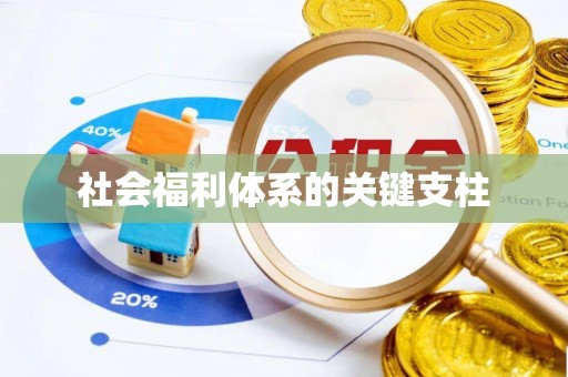 成华社会福利体系的关键支柱