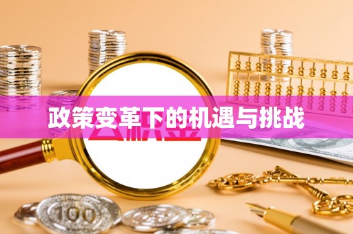 成华政策变革下的机遇与挑战