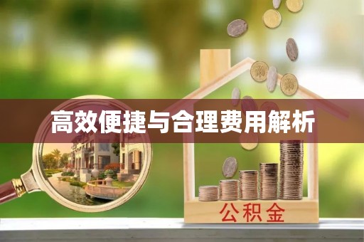 成华高效便捷与合理费用解析
