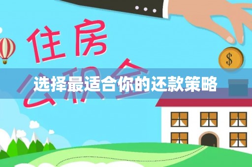 成华选择最适合你的还款策略