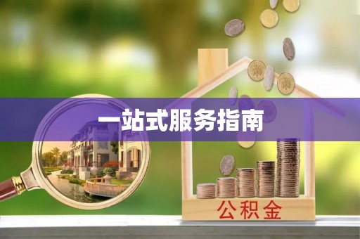 成华一站式服务指南