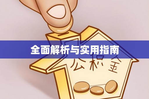 成华全面解析与实用指南
