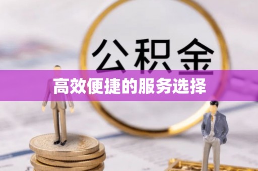 成华高效便捷的服务选择