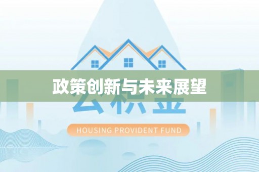 成华政策创新与未来展望